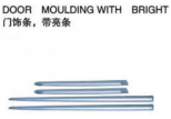 DOOR MOULDING WITH BRIGHT 车门上饰条 带亮条