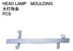 HEAD LAMP MOULDING 大灯饰条